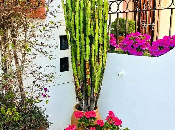 Готель Monte-biarritz Junto A Guadalmina *