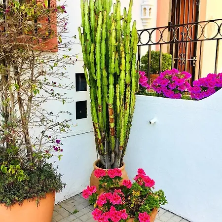 מלון Monte-biarritz Junto A Guadalmina *